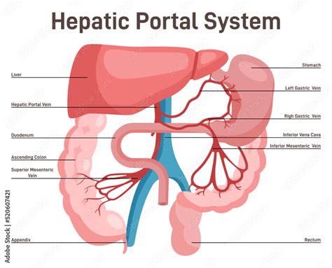 mPortal System .